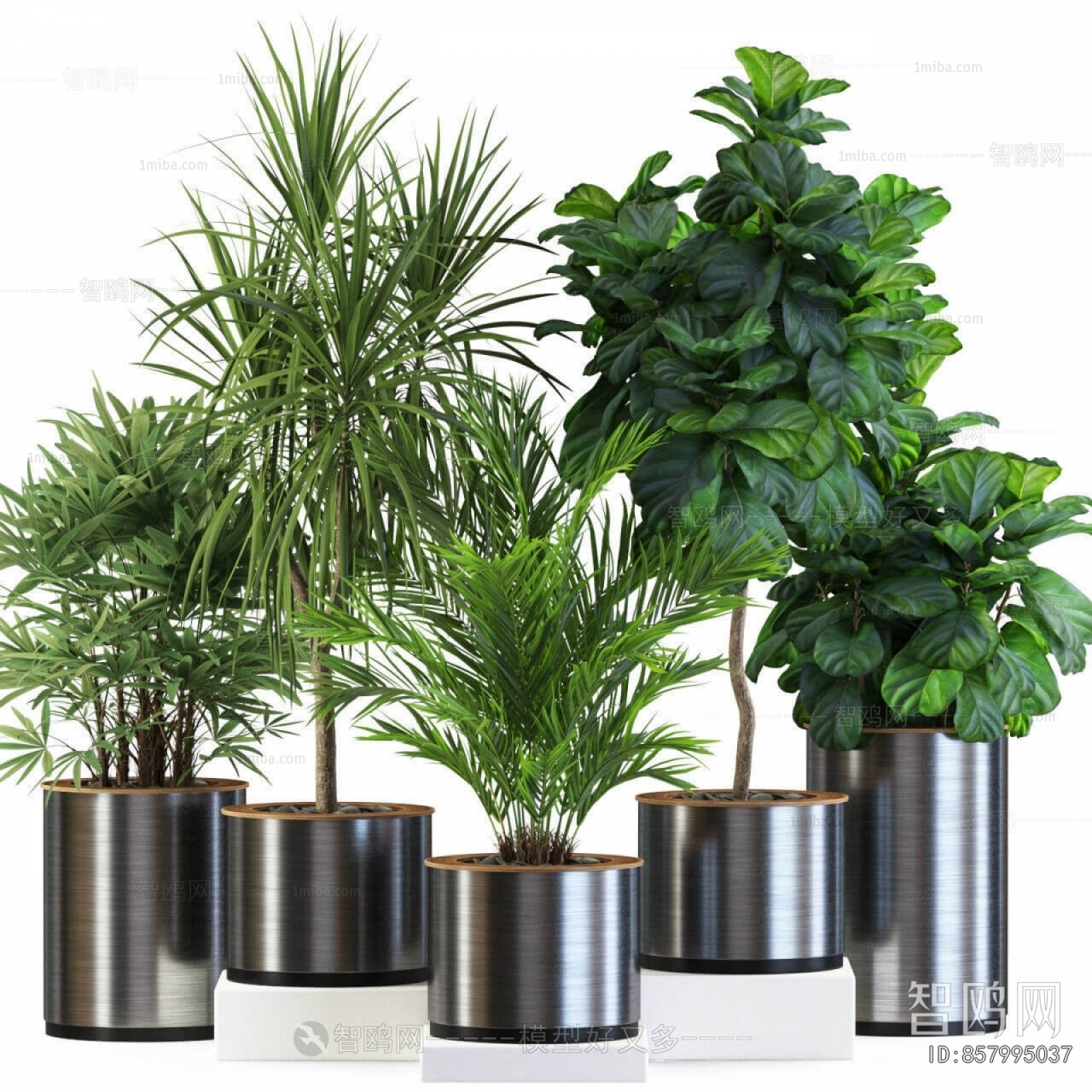 Modern Ground Green Plant Potted Plants