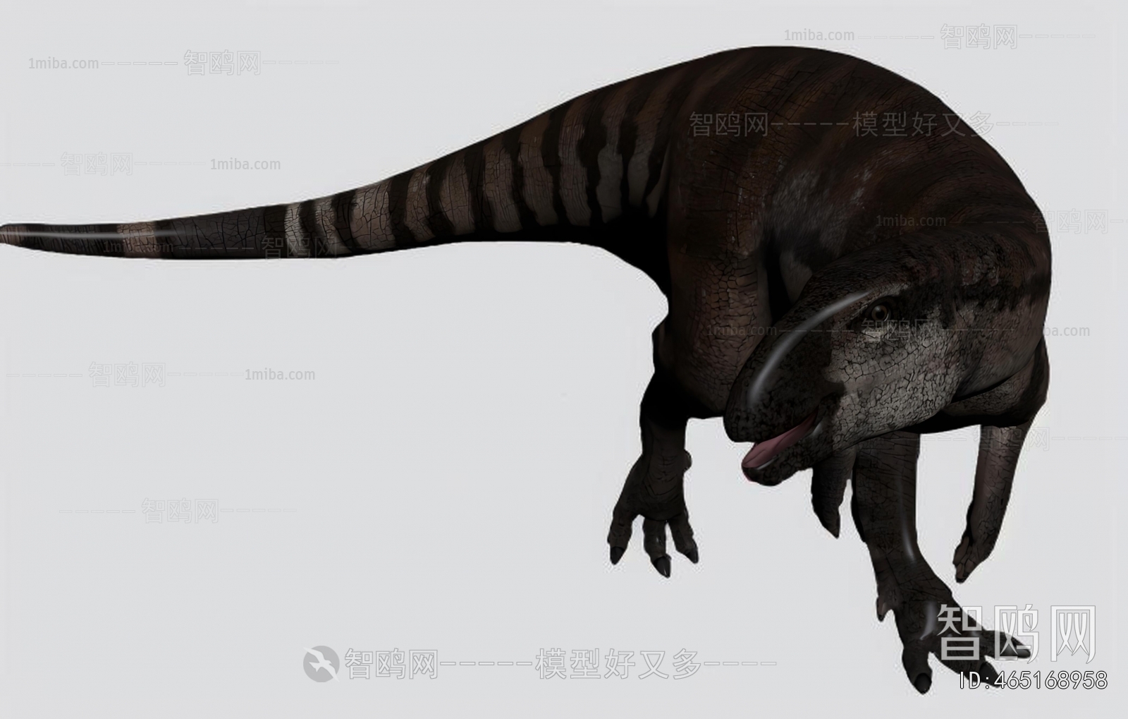 Modern Other Animals