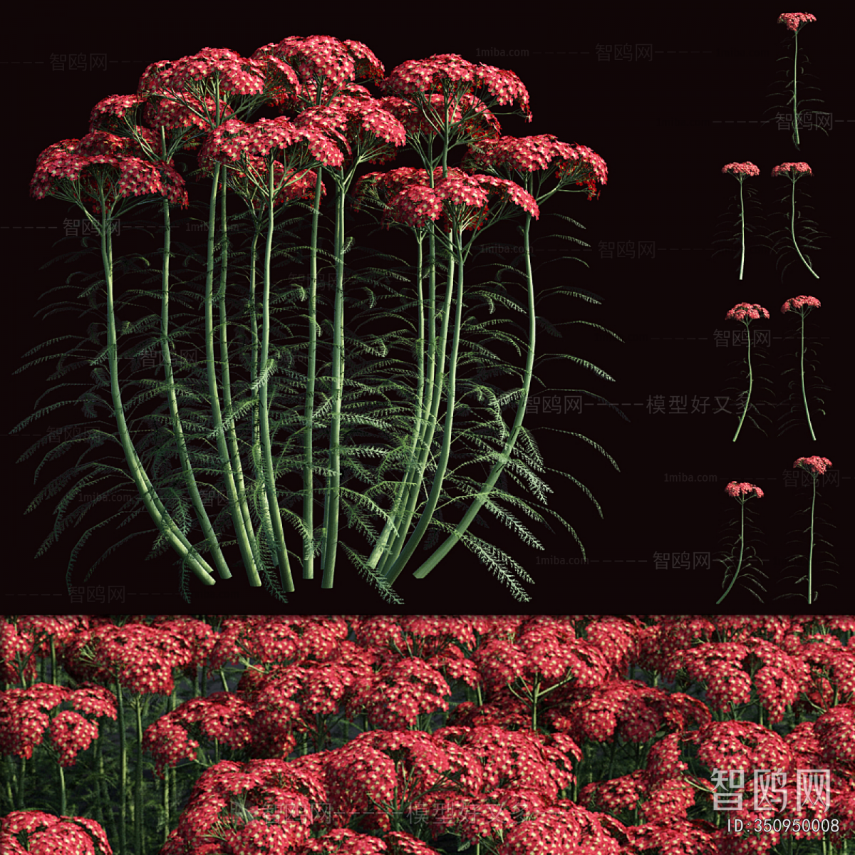 Modern Flowers And Grass