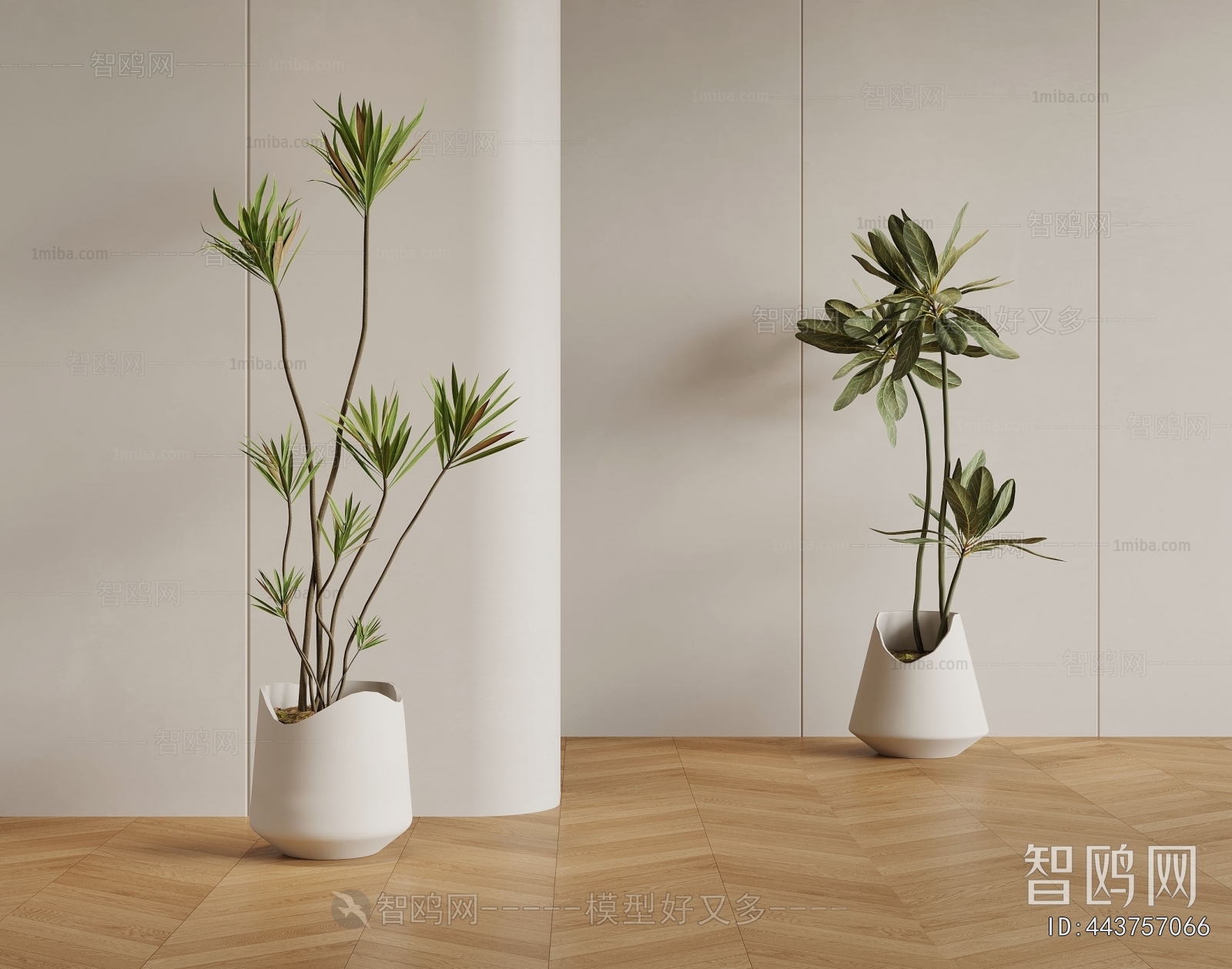 Modern Ground Green Plant Potted Plants