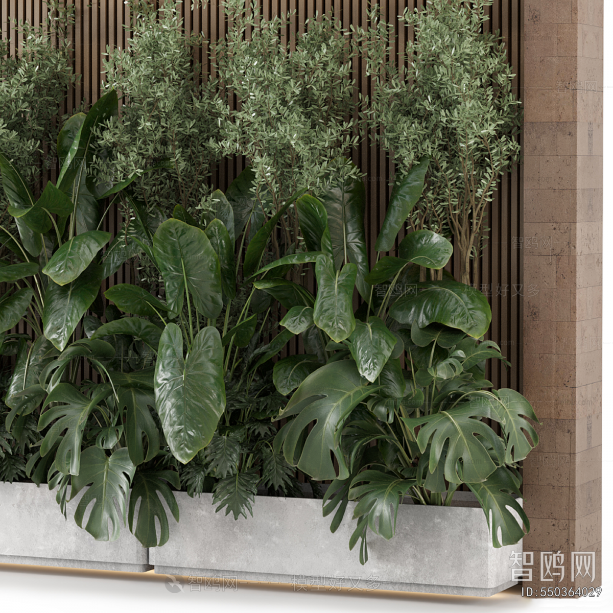 Modern Plant Wall
