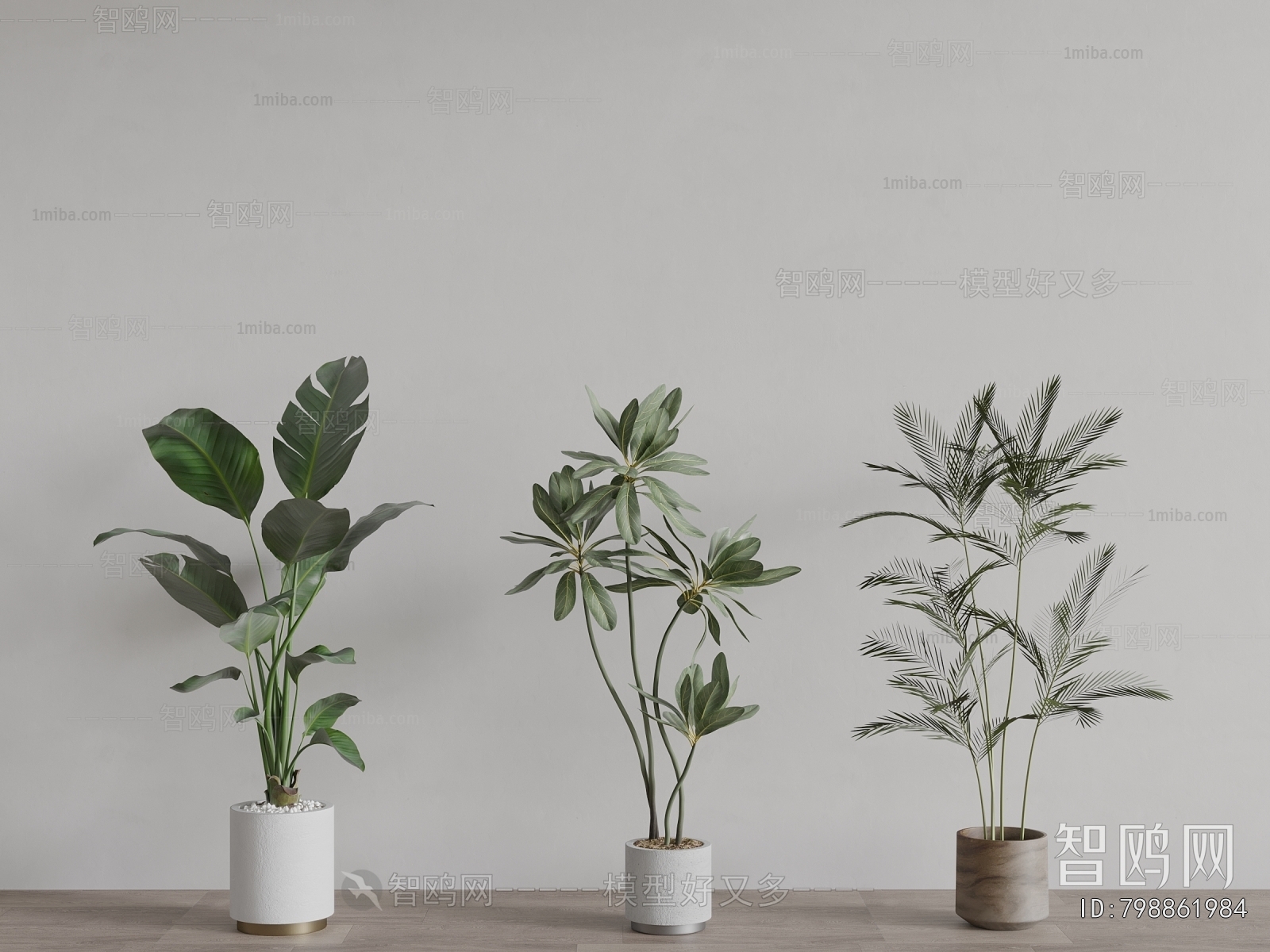 Modern Ground Green Plant Potted Plants