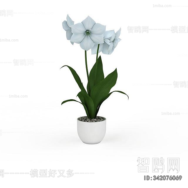 Modern Potted Green Plant