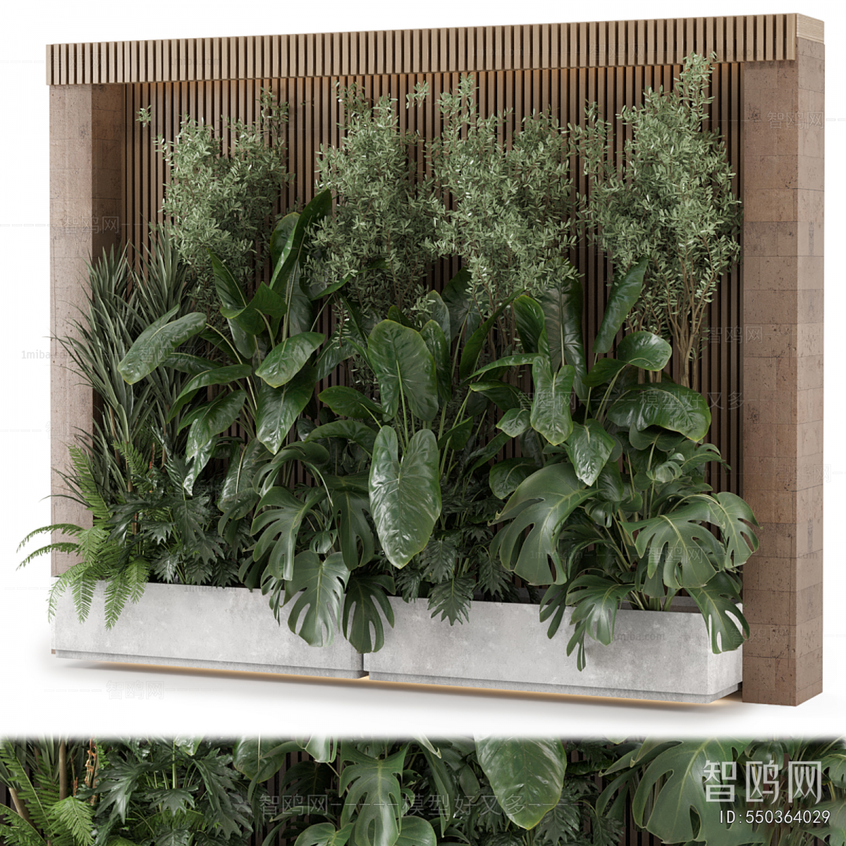 Modern Plant Wall