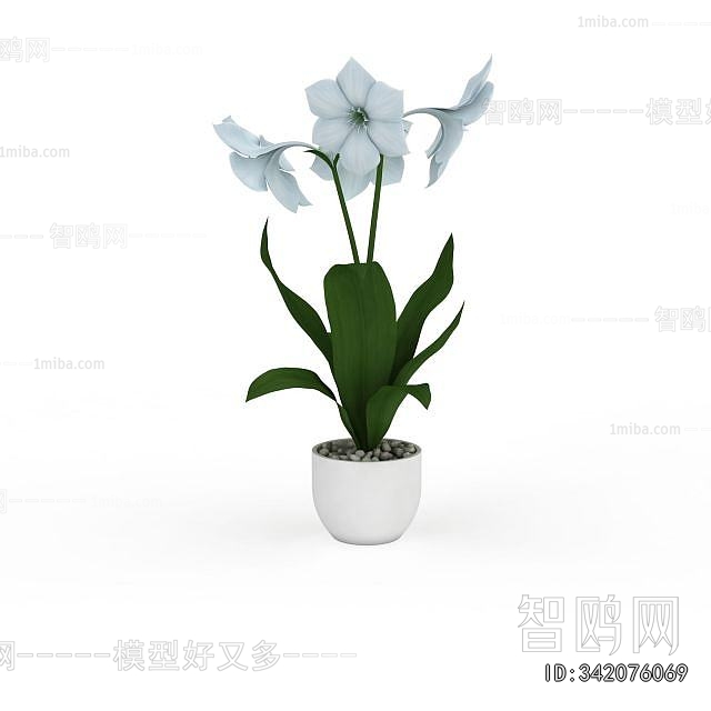 Modern Potted Green Plant