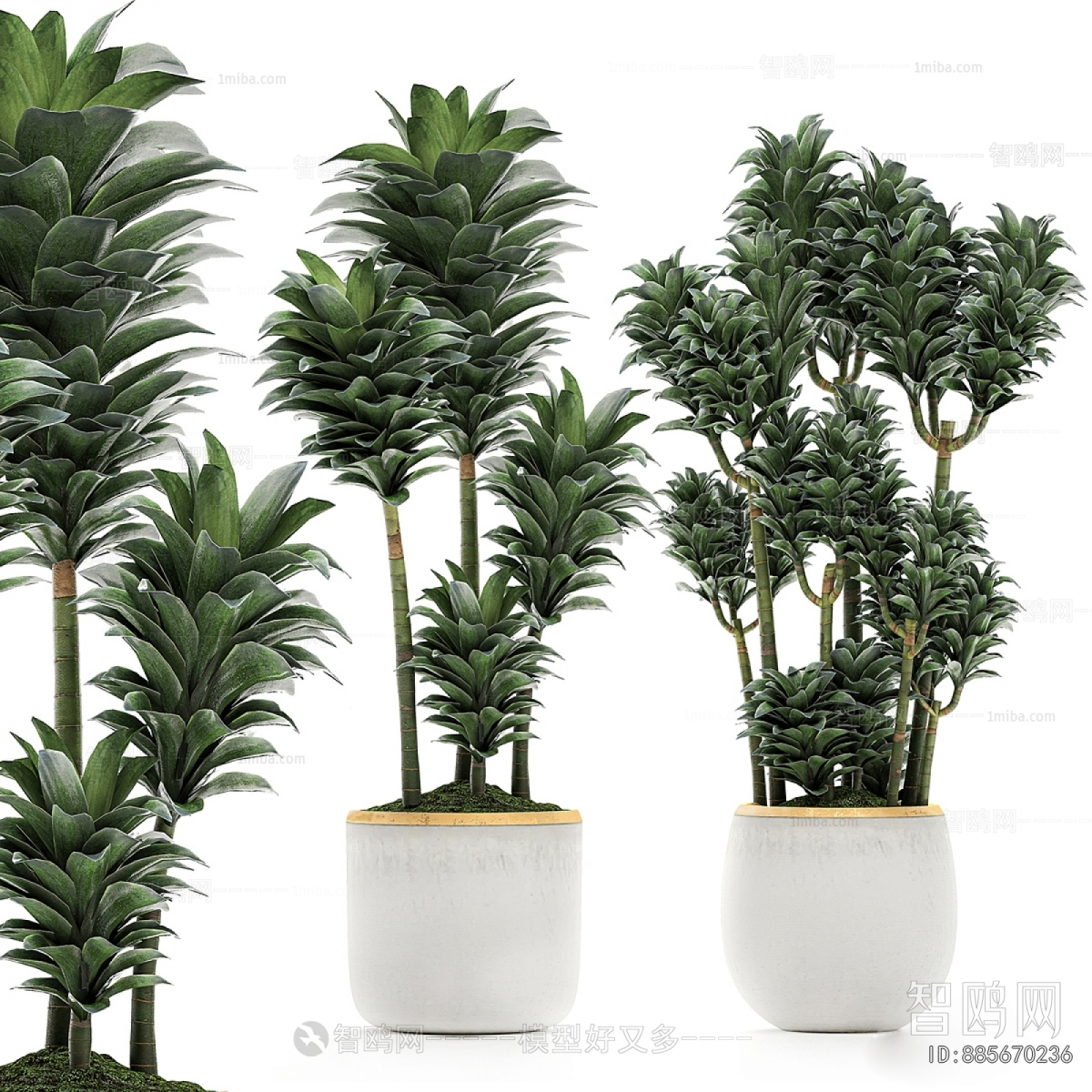 Modern Ground Green Plant Potted Plants