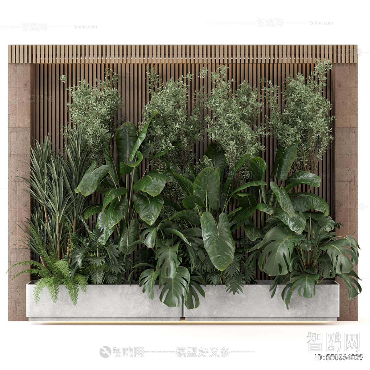 Modern Plant Wall
