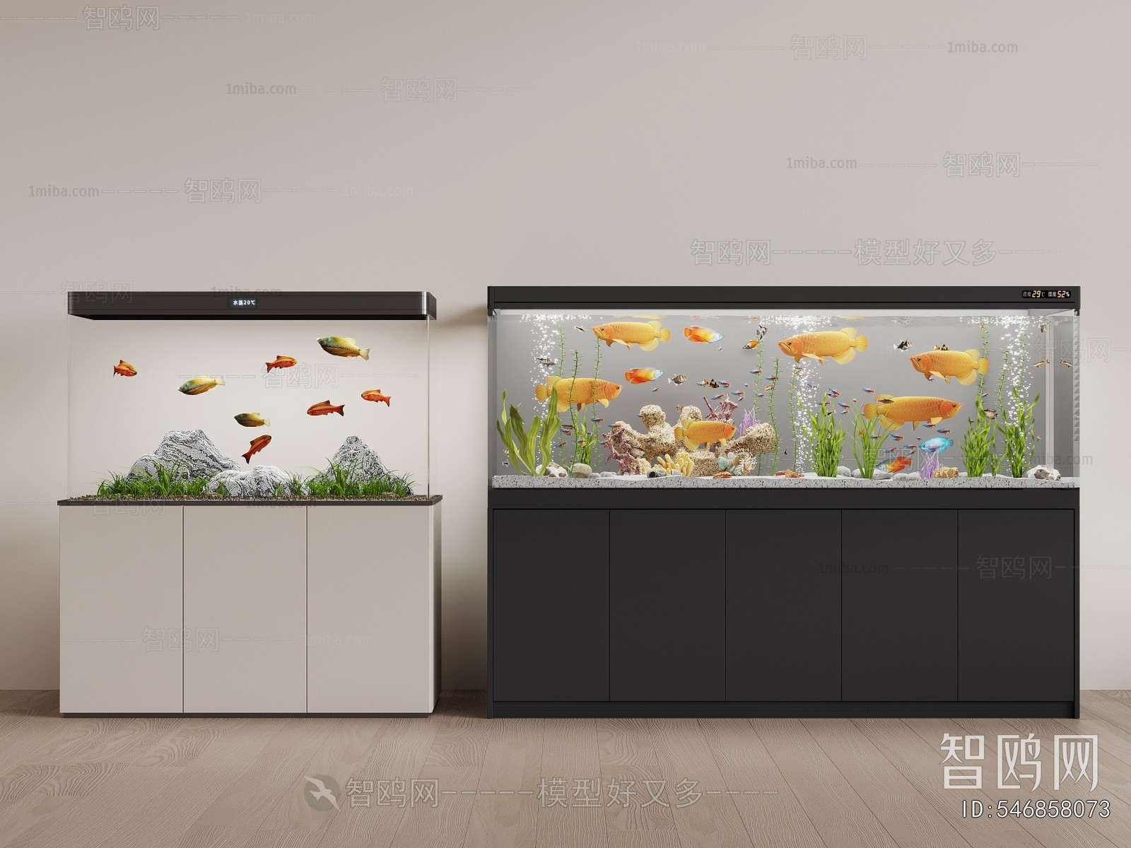 Modern Fish Tank