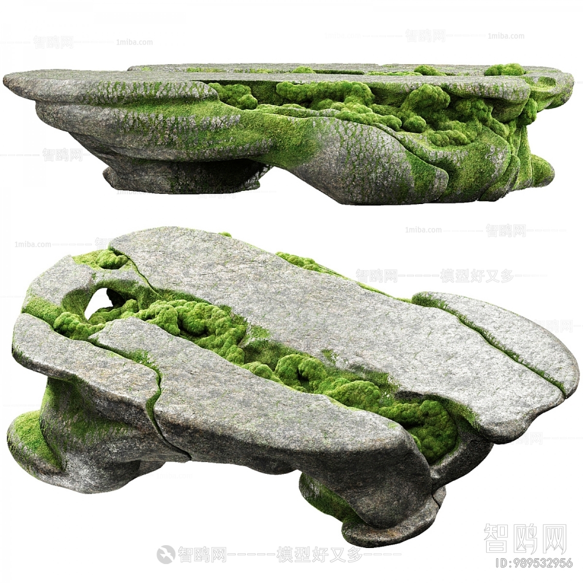 Modern Plant Landscaping