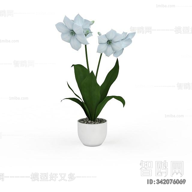 Modern Potted Green Plant