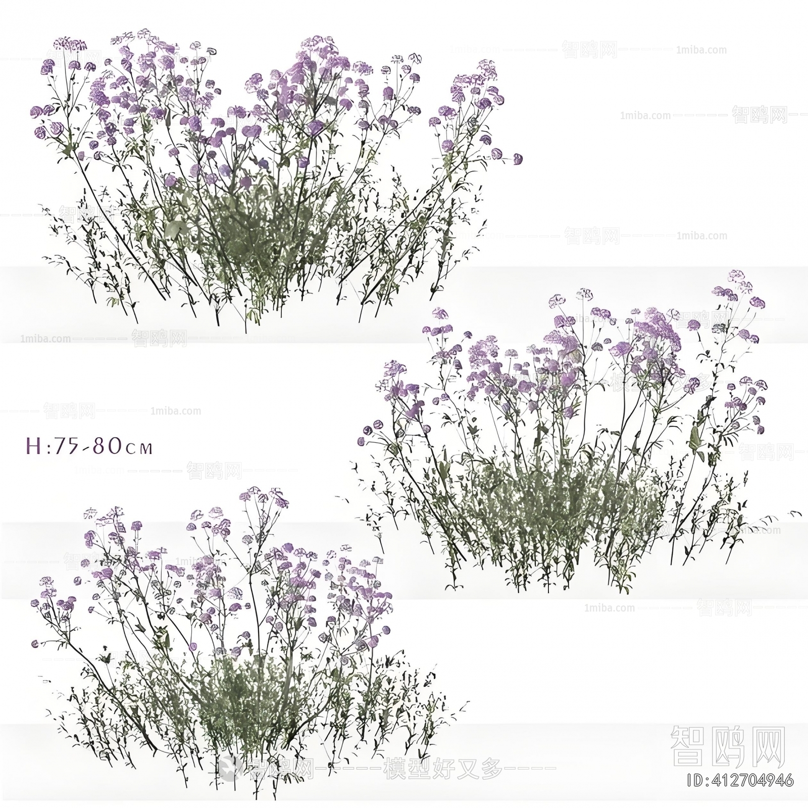 Modern Flowers And Grass