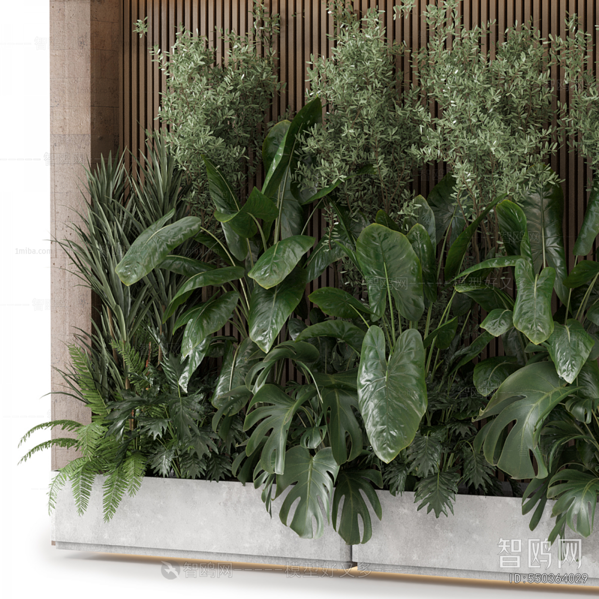 Modern Plant Wall