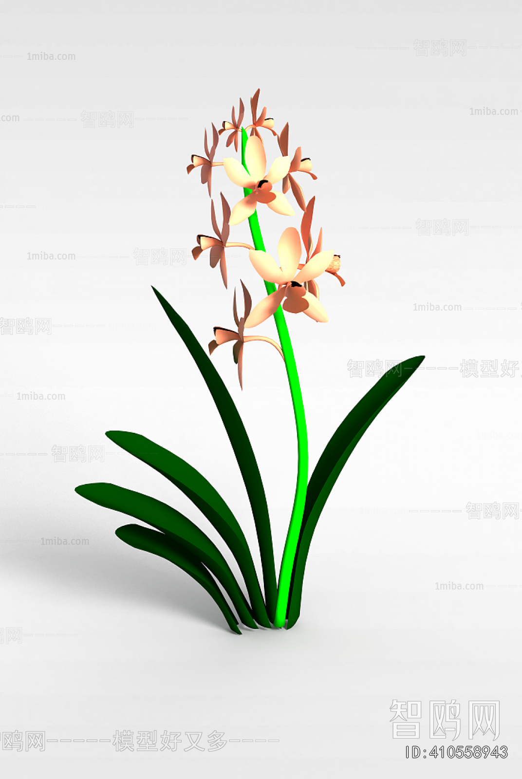 Modern Flowers And Grass