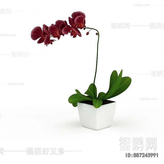 Modern Potted Green Plant