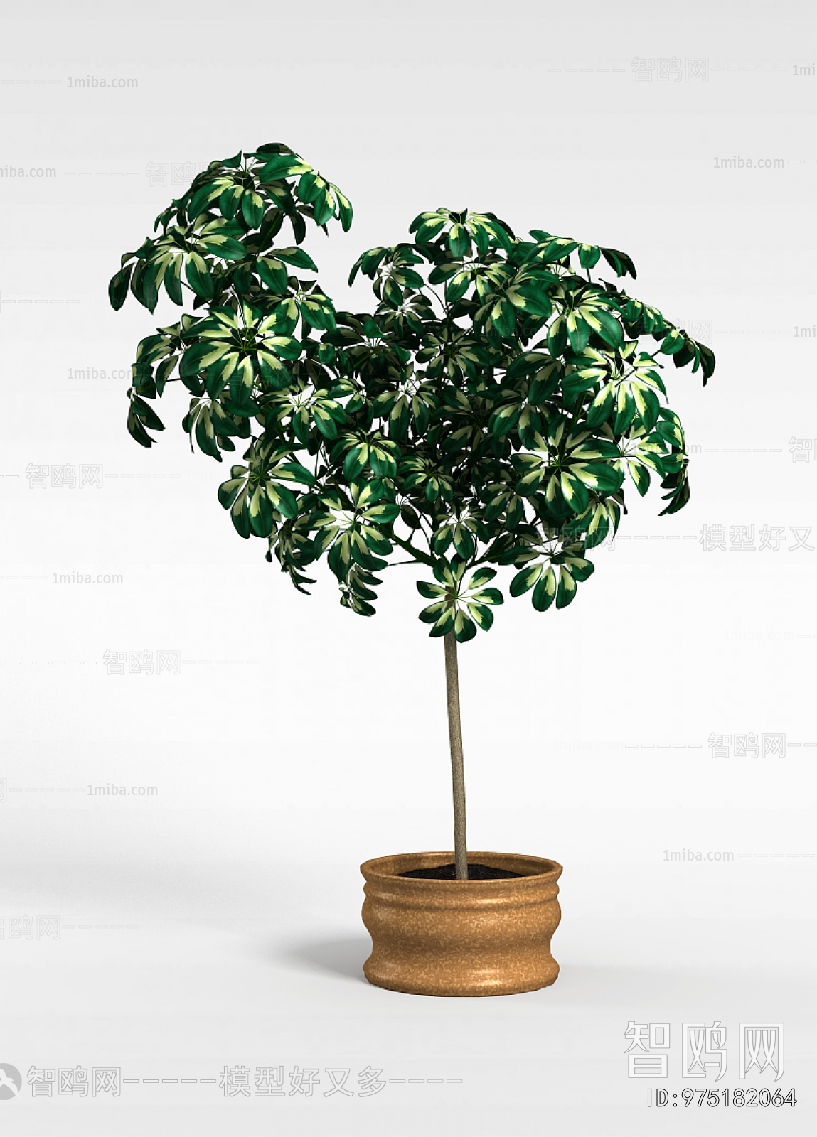 Modern Ground Green Plant Potted Plants