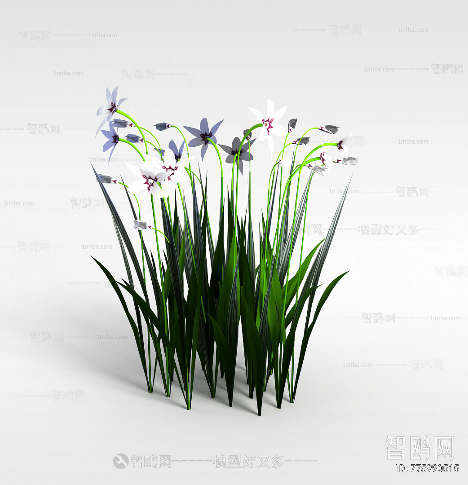 Modern Flowers And Grass