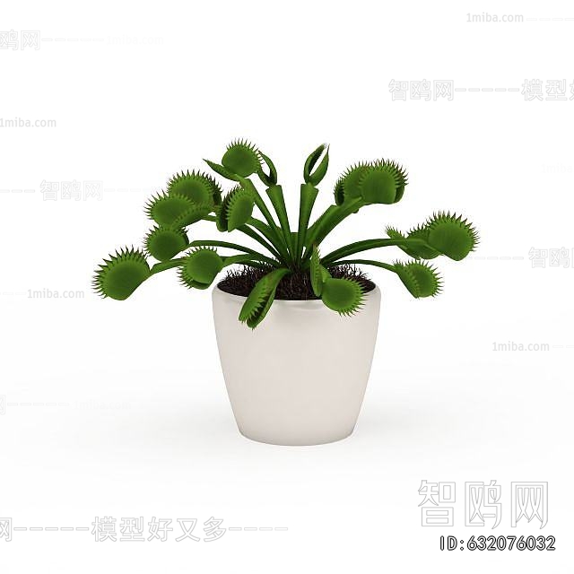 Modern Potted Green Plant