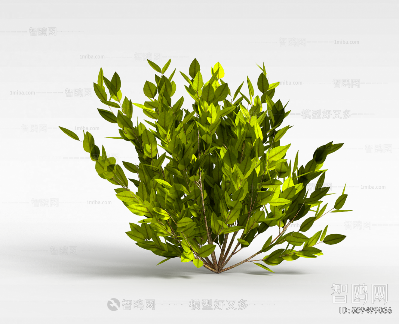 Modern Plant