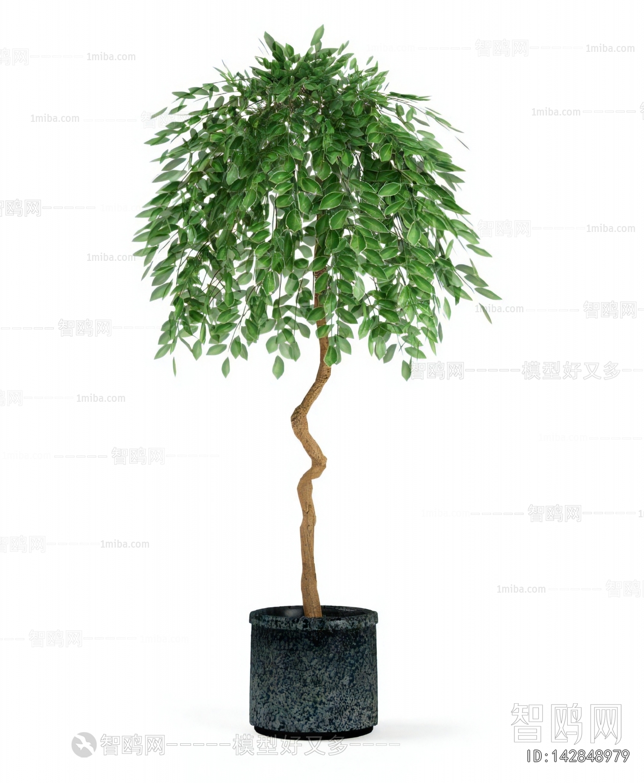 Modern Ground Green Plant Potted Plants