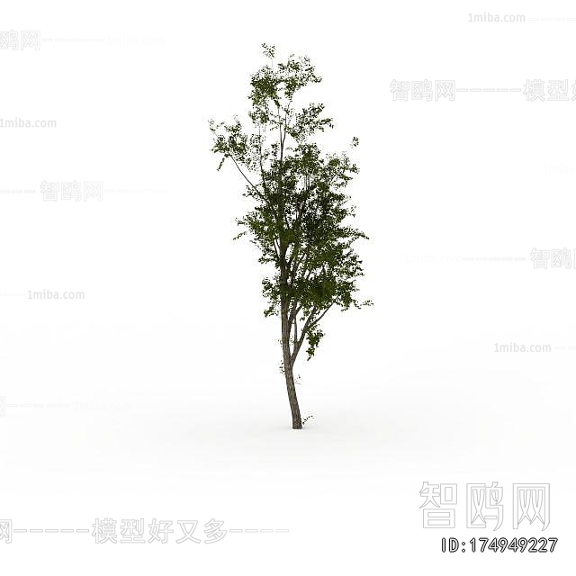 Modern Tree