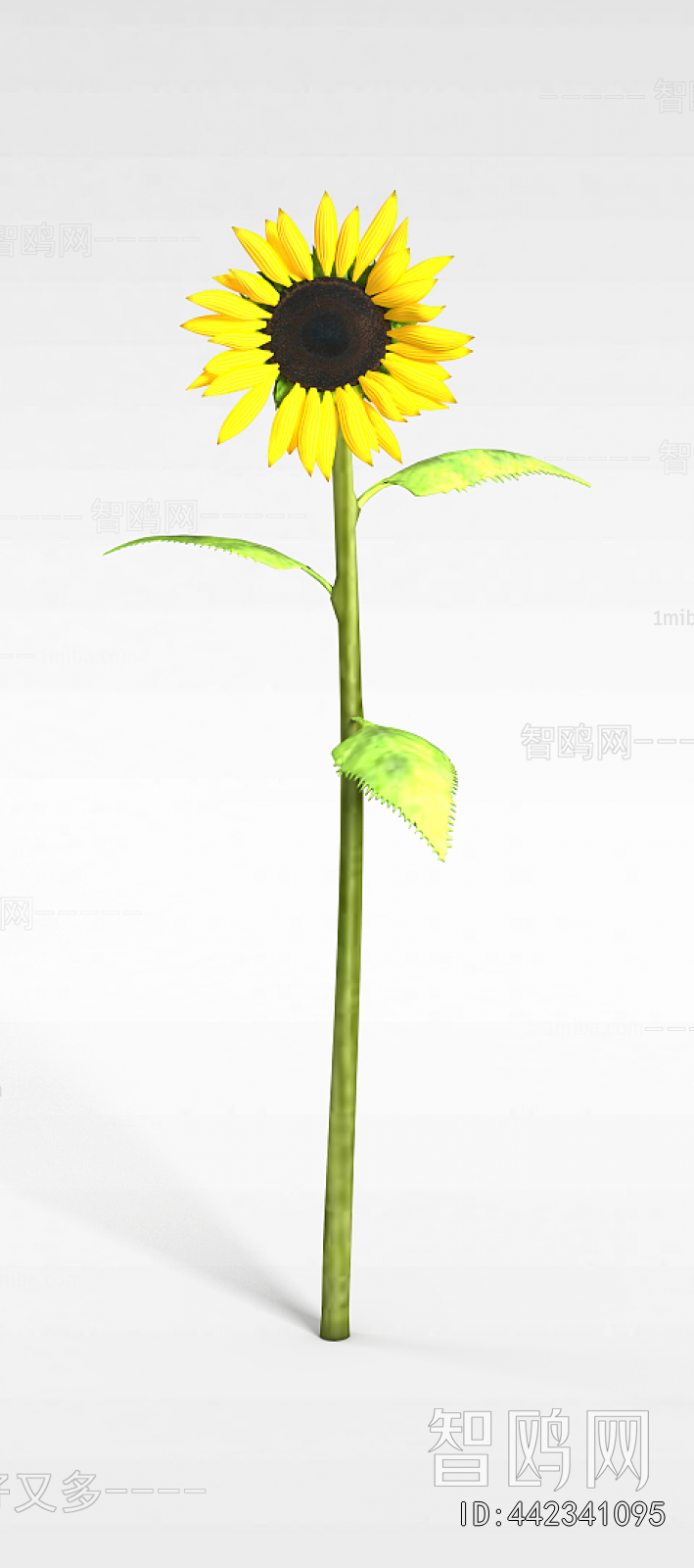 Modern Flowers And Grass