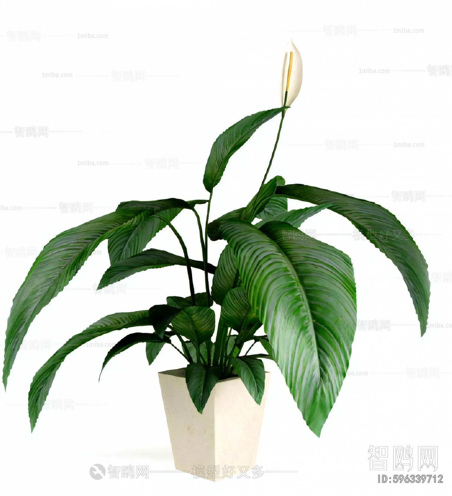 Modern Potted Green Plant