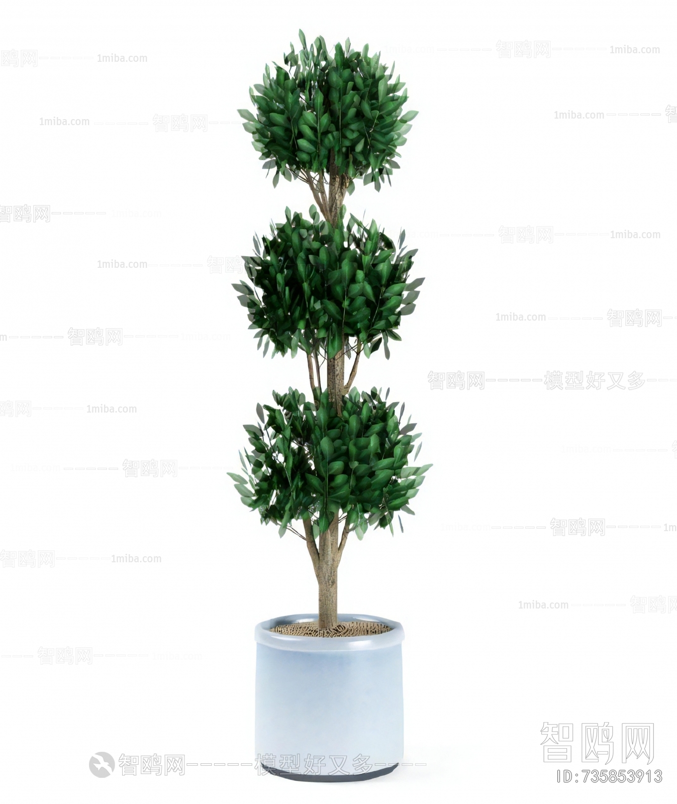 Modern Ground Green Plant Potted Plants