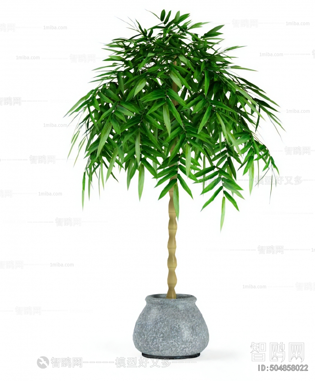 Modern Ground Green Plant Potted Plants