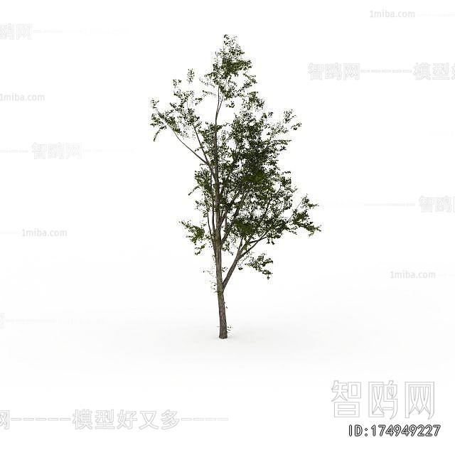 Modern Tree