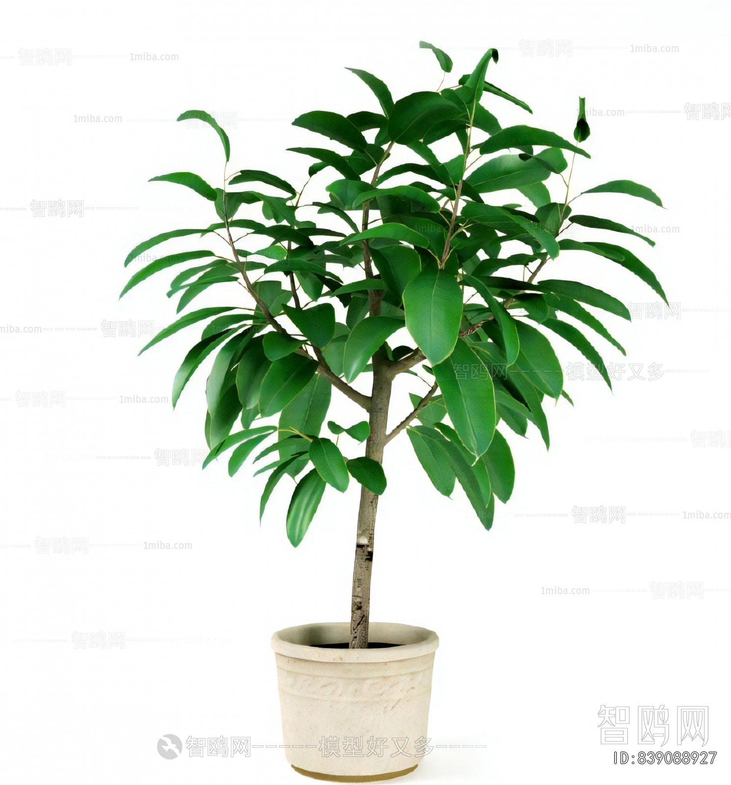 Modern Ground Green Plant Potted Plants