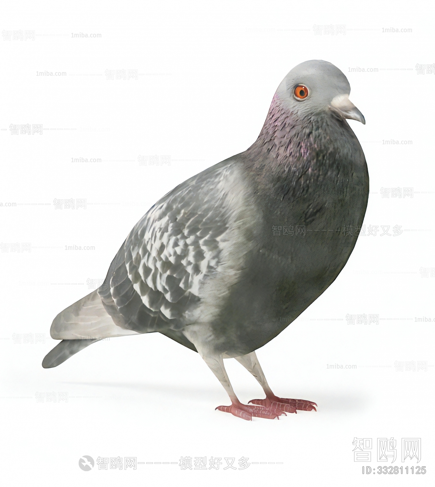 Modern Flying Animals