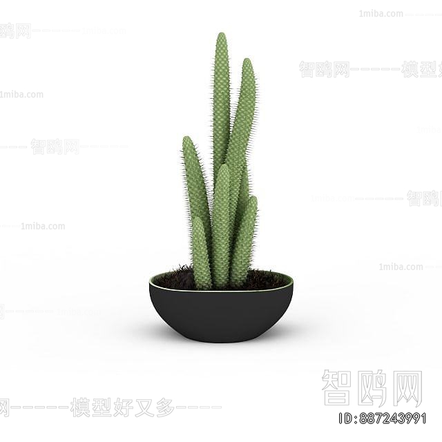 Modern Potted Green Plant
