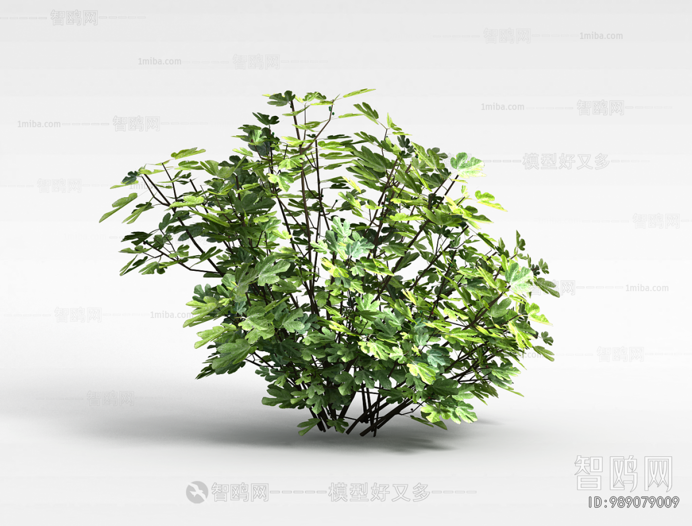 Modern Shrubbery