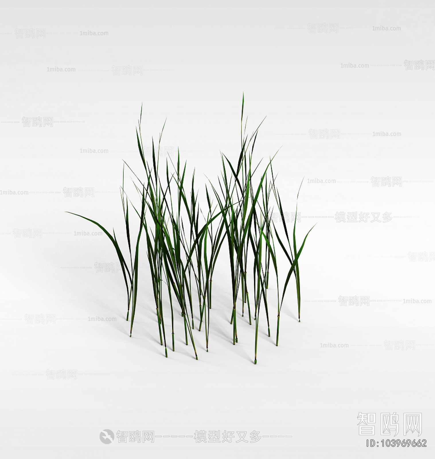 Modern The Grass
