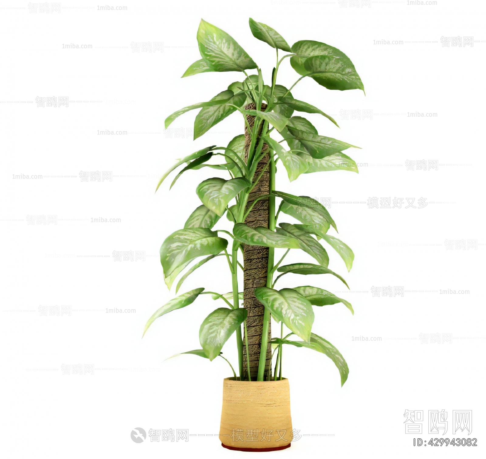 Modern Ground Green Plant Potted Plants