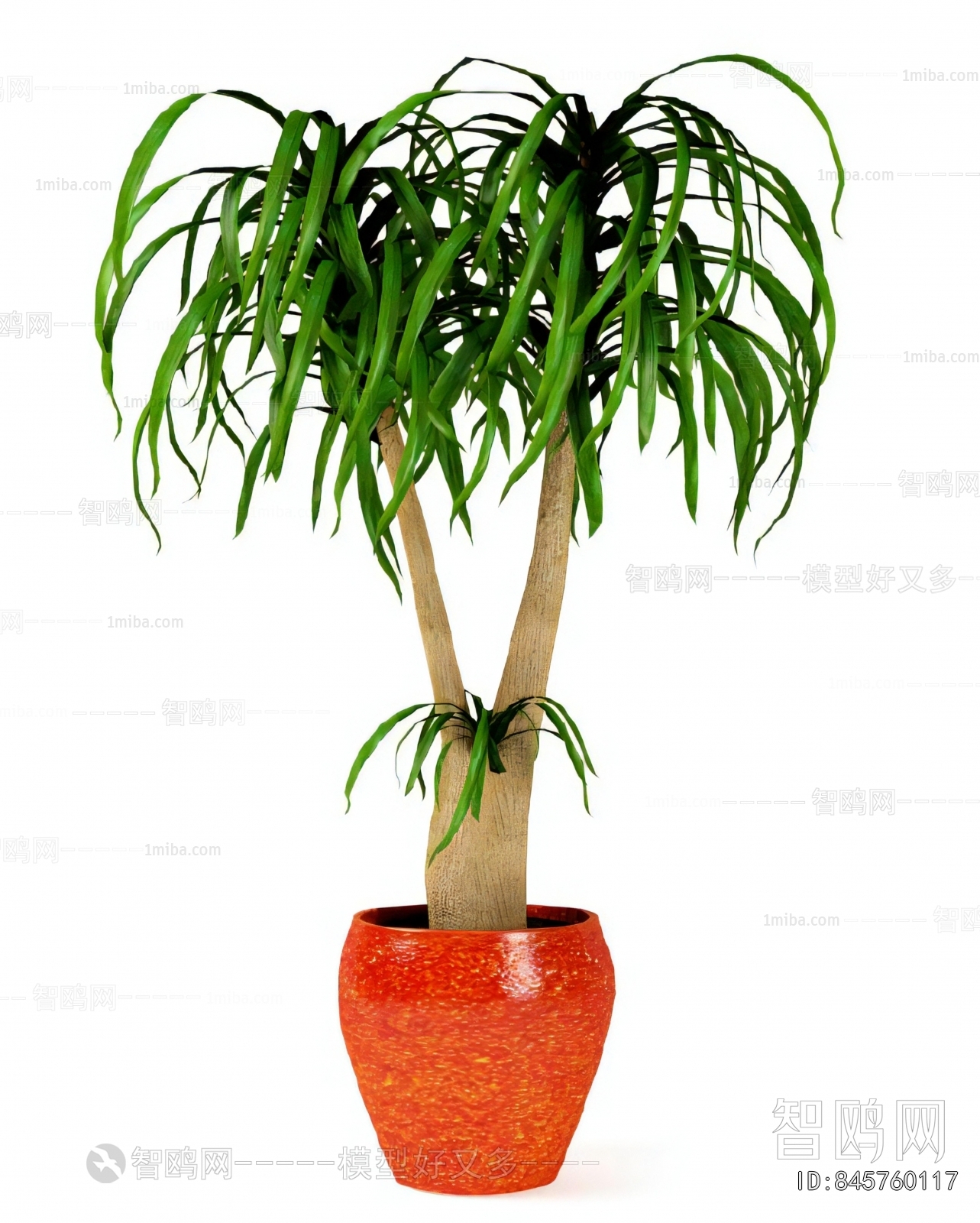 Modern Ground Green Plant Potted Plants