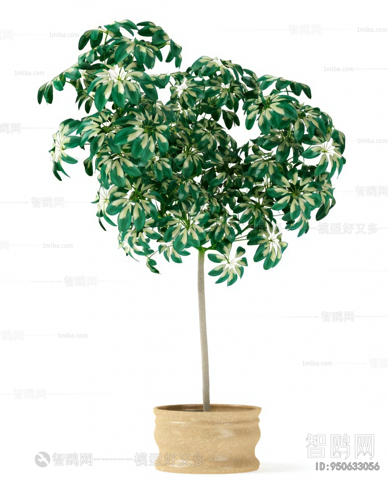 Modern Ground Green Plant Potted Plants