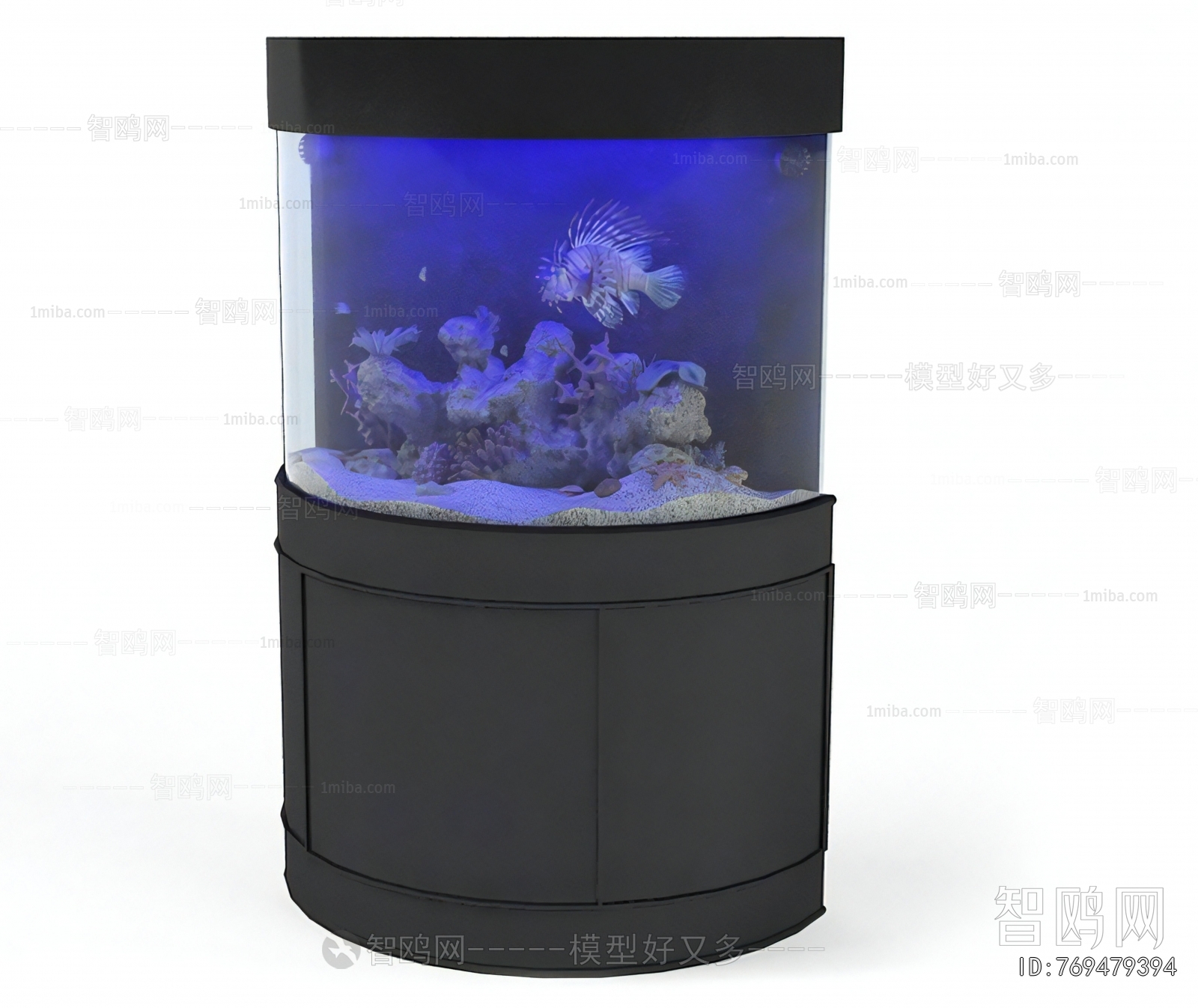 Modern Fish Tank