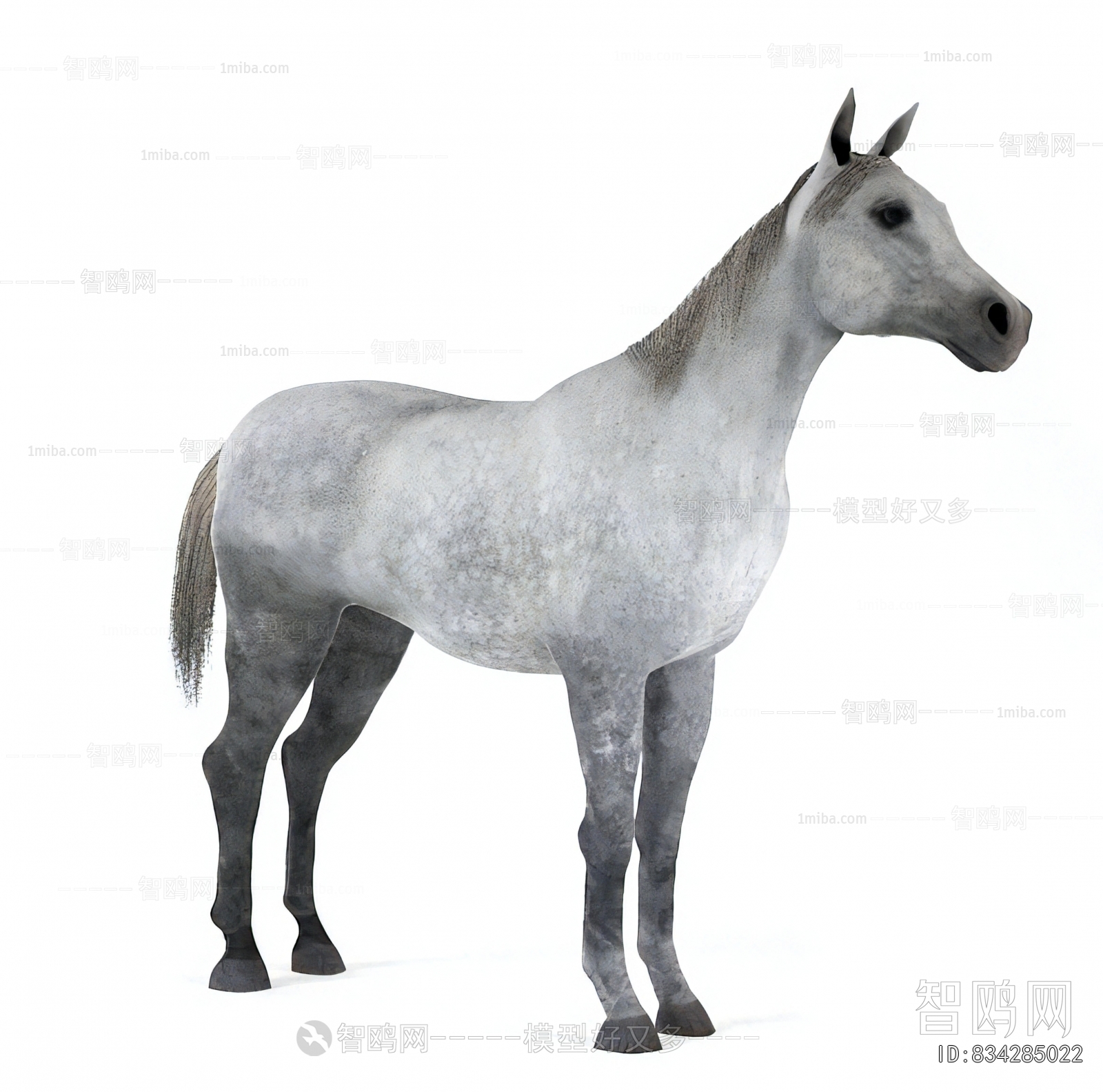Modern Animal Horse