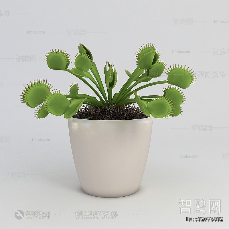 Modern Potted Green Plant