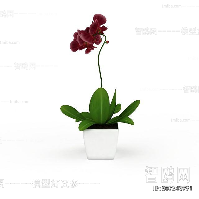 Modern Potted Green Plant