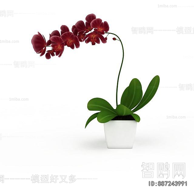 Modern Potted Green Plant