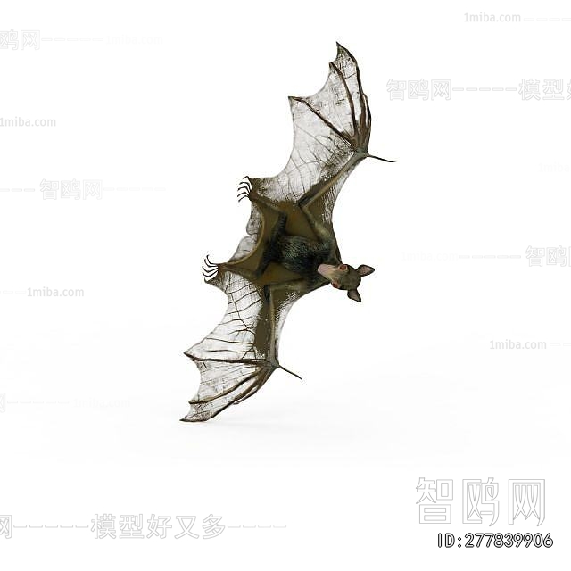 Modern Flying Animals