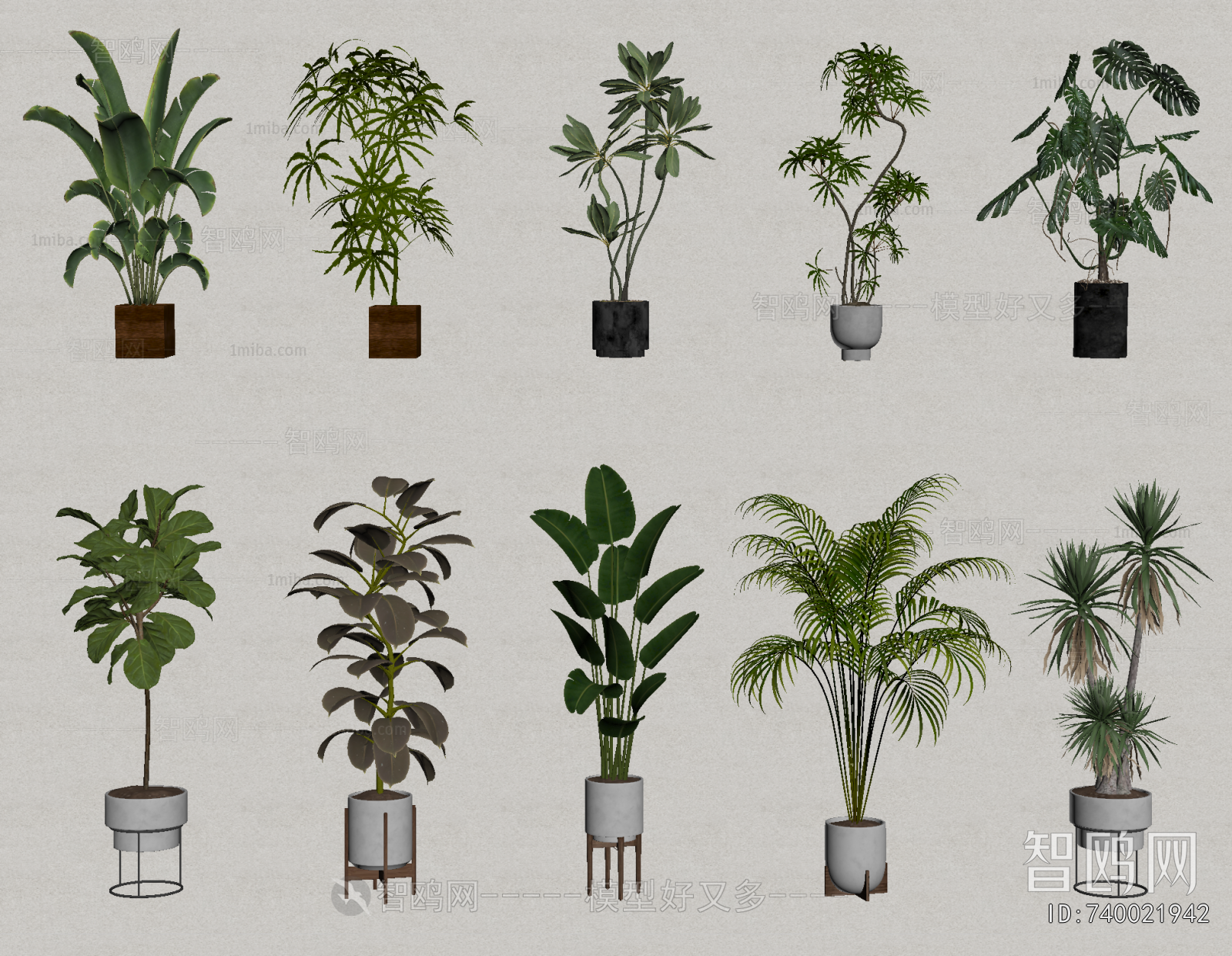 Modern Ground Green Plant Potted Plants