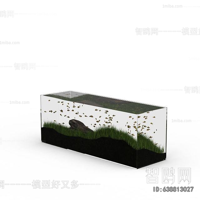 Modern Fish Tank