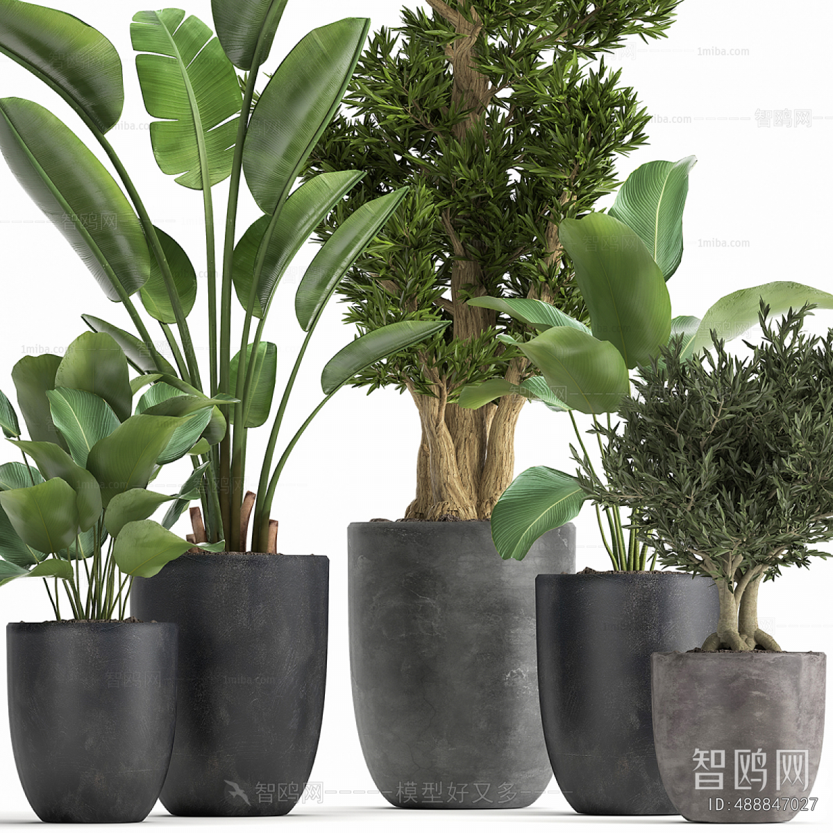 Modern Ground Green Plant Potted Plants