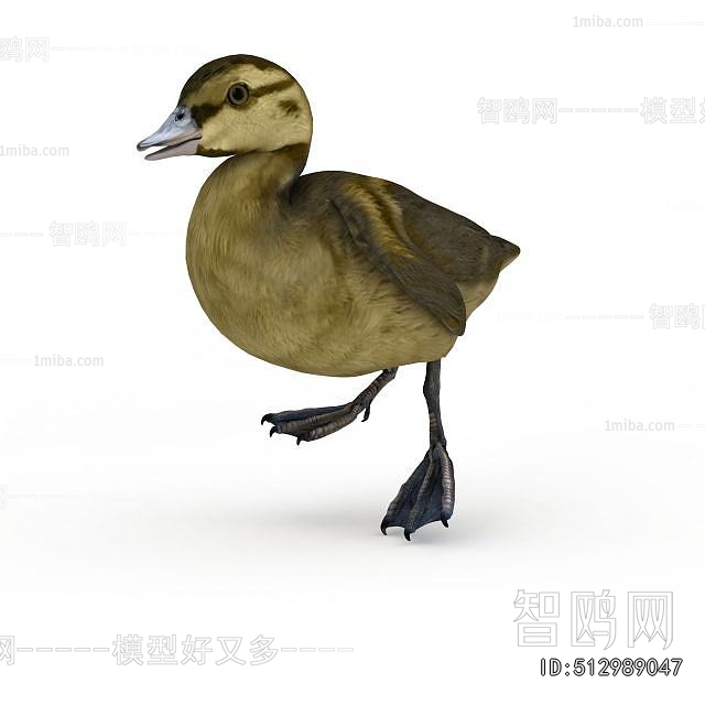 Modern Flying Animals