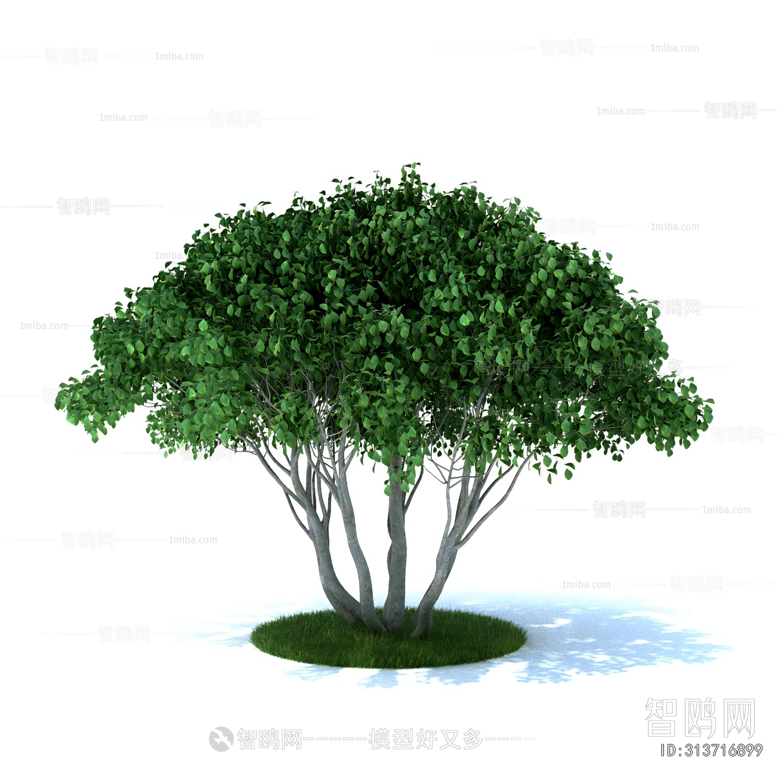 Modern Tree