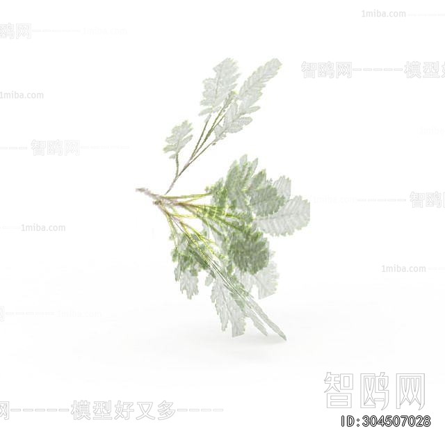 Modern Clothes, Bags And Shoes