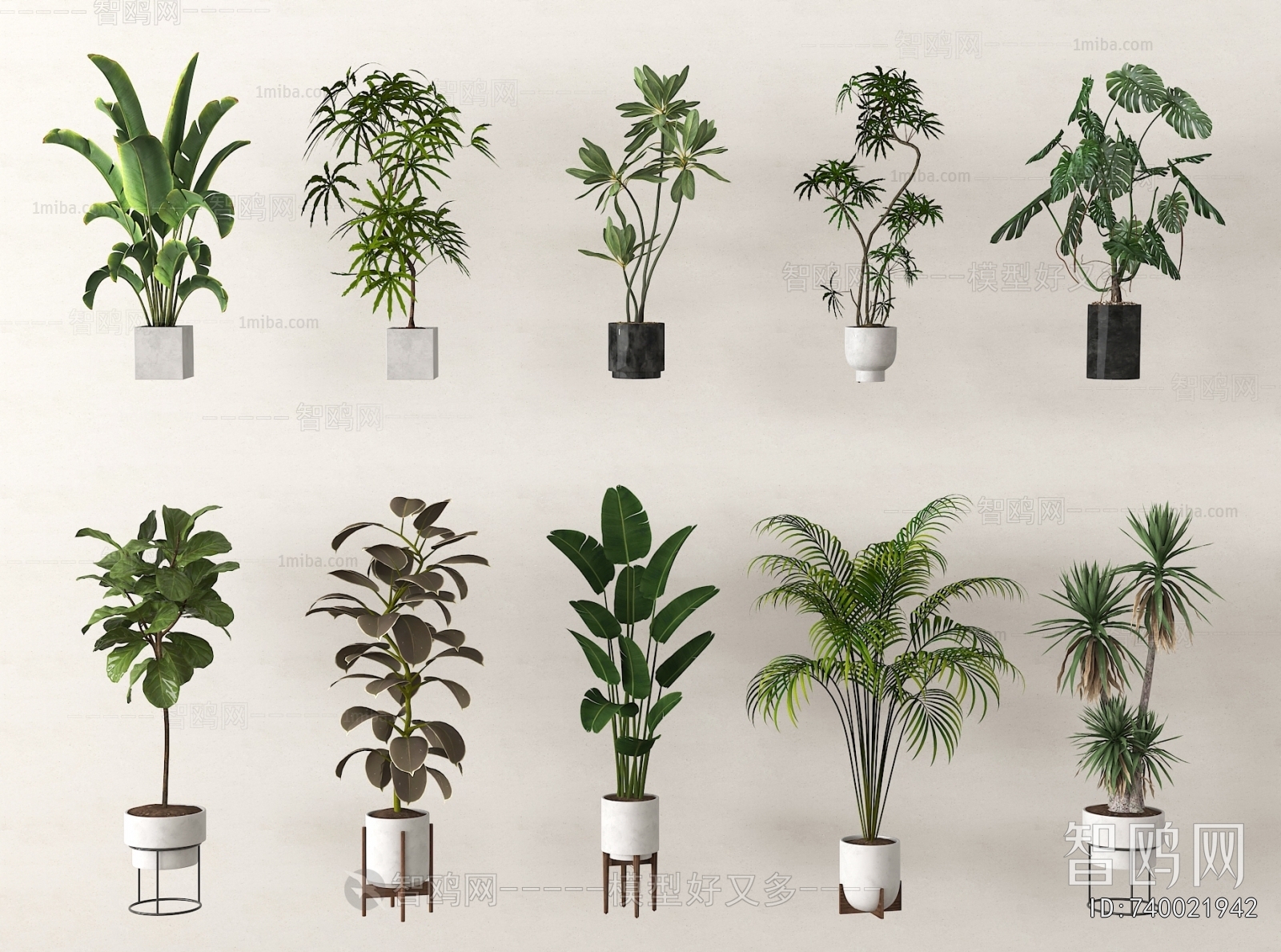 Modern Ground Green Plant Potted Plants